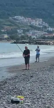 Karadeniz'de balık bolluğu yaşanıyor: Oltasını kapan sahile koştu