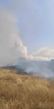 Eskişehir'de arazi yangını: Kontrol altına alındı