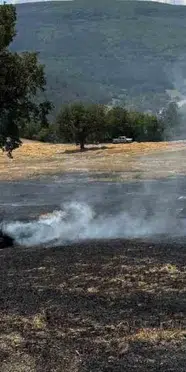 Bolu’da tarlada yangın çıktı: Yangınla ilgili inceleme başlatıldı
