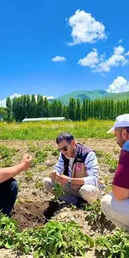 Bayburt'ta patates tarlalarında hastalık belirtisi uyarısı