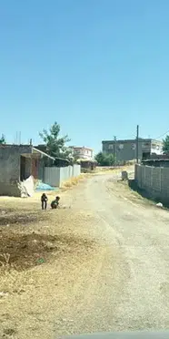 Kedinin ısırdığı 3 yaşındaki çocuk entübe edildi