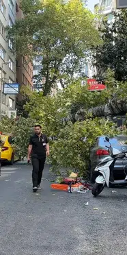 Nişantaşı’nda çınar ağacı iki aracın üzerine düştü
