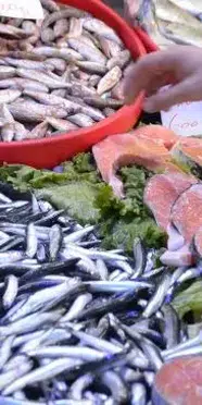 Ton balığı ve somon geride kaldı! En sağlıklı balık bakın hangisi çıktı