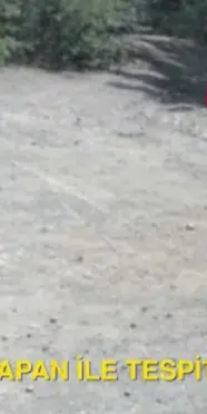 Orman yangını tedbirlerini ihlal eden 993 kişiye işlem