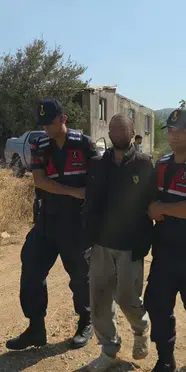 Çalıntı araçla kaçtı zeytinlikte yakalandı
