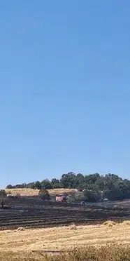 Bilecik'te arazi yangını: 80 dönüm alan zarar gördü