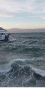 Bursa-İstanbul deniz ulaşımında alarm! Seferler peş peşe iptal edildi