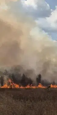 Bursa'da peş peşe yangın! Kestel'deki alevler ormana yayıldı
