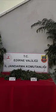 Edirne'de hint keneviri eken şahıs tutuklandı