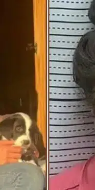 ABD'de velayet faciası: 11 aylık oğlunu öldürdü