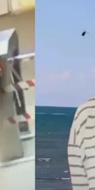 Rojin Kabaiş soruşturmasında flaş gelişme: Rektör ve yeğeni hakkında şok karar!