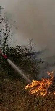 Yunanistan'da yangın: Atina'da tahliyeler başladı