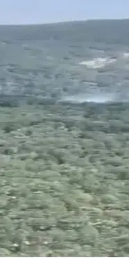 Balıkesir’de orman yangını çıktı: Ekipler seferber oldu
