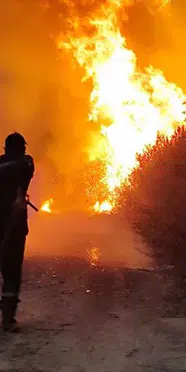 Cezayir’de yangın felaketi: 12 kişi yaşamını yitirdi