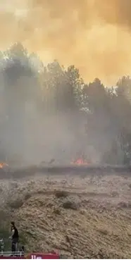 Bolu ve Malatya'da orman yangını: Gökyüzünü dumanlar kapladı!