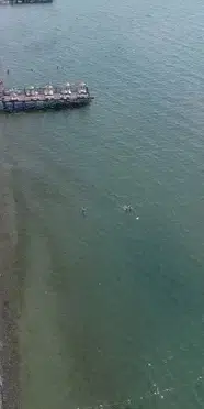 Bartın'da denize girmek yasak mı? Kıyı illerinde peş peşe flaş gelişmeler