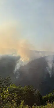 Kastamonu'da orman yangını kontrol altına alındı
