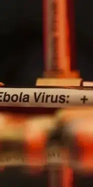 Kongo Demokratik Cumhuriyeti'nde ebola salgını: Can kaybı 1657'ye yükseldi