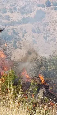 Malatya'da yangın: Meyve bahçesi ve üzüm bağları zarar gördü