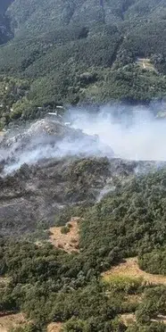 Bursa’da üç ayrı noktada orman yangını: Ekipler havadan ve karadan müdahale ediyor