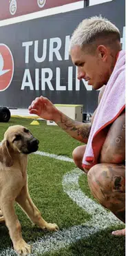 Torreira'nın köpeğine verdiği isim gündem oldu: Devrim Özkan detayı dikkat çekti
