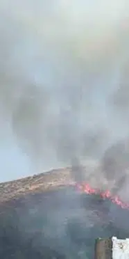 Bingöl’de örtü yangını: Yangına müdahale devam ediyor