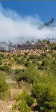 İzmir ve Bursa alevlere teslim oldu! Yangınlarda son durum