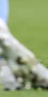 Manchester City, Crystal Palace deplasmanında 4 golle kazandı