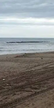 Beykoz’da hafta sonu denize girmek yasaklandı