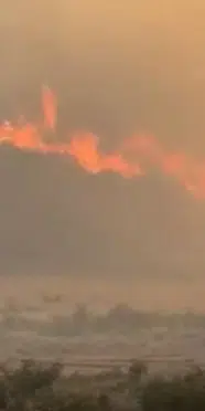 Hatay’da orman yangını! Yerleşim yerlerine yakın noktada çıktı
