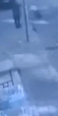 Çorlu'da miras tartışması: Ağabeyini silahla yaraladı
