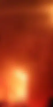Aydın'daki ölümcül yangında şüphe uyandıran detay! Eşi hakkında gözaltı kararı