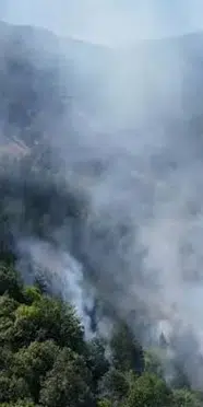 Sinop'taki yangınla ilgili soruşturma: İşletme sahibi tutuklandı