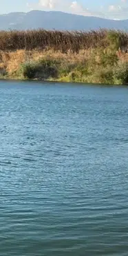 Sakarya’da serinlemek isterken canından oldu: 18 yaşında hayatını kaybetti