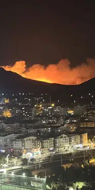 Ankara’da ağaçlık alanda yangın: 8 saat sonra söndürüldü