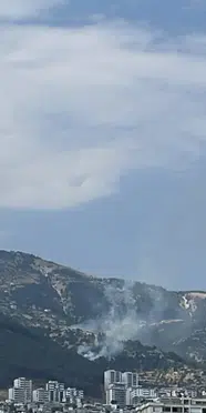 Kahramanmaraş'ta orman yangını: 85 personelle müdahale edildi