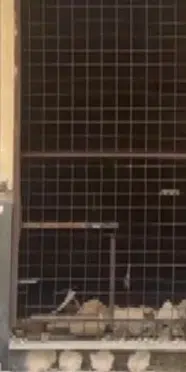 İtalya'da 4,7 büyüklüğündeki deprem binalarda hasara yol açtı