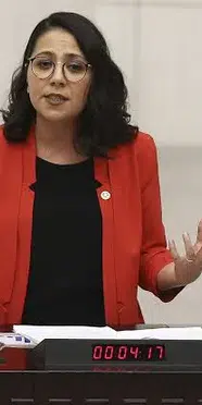 TİP Milletvekili Sera Kadıgil hakkında soruşturma: Adli süreç devam ediyor