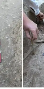 Aspendos’ta 2 bin 400 yıllık güreşçi mezarı keşfedildi