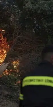 Yunanistan'da alarm! Birçok noktada peş peşe orman yangınları çıktı