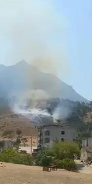 Manisa’da orman yangını: Ekipler müdahale ediyor