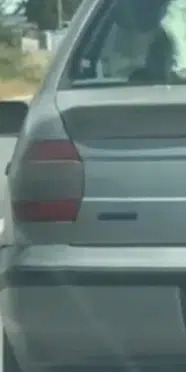 Bolu’da korkunç olay: Buzağıyı otomobilin arka koltuğunda taşıdılar