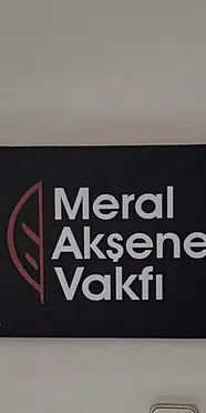 Meral Akşener Vakfı’nın logosu belli oldu
