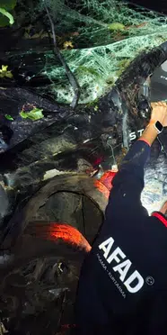 Rize'de otomobil 100 metreden devrildi: 2 kişi hayatını kaybetti