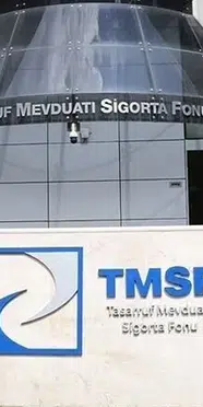 TMSF iki şirketi satışa çıkardı: Toplam bedel 1,2 milyar TL