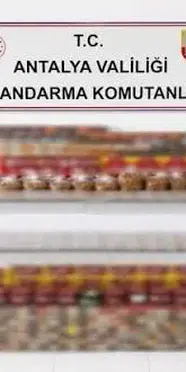 Manavgat’ta kaçak tütün operasyonu: 30 bin dolu makaron ve 274 nargile tütünü ele geçirildi