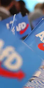 AfD'li liderden olay sözler: Göçmenleri silah zoruyla sınır dışı edeceğiz