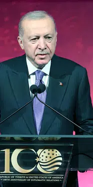 Cumhurbaşkanı Erdoğan'dan BM Güvenlik Konseyi için veto çağrısı