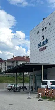 Dağda ağaç keserken arı soktu: 65 yaşındaki adam yaşamını yitirdi