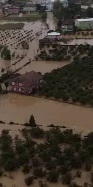 Sakarya’da tavuk kümesini su bastı: Çok sayıda tavuk telef oldu